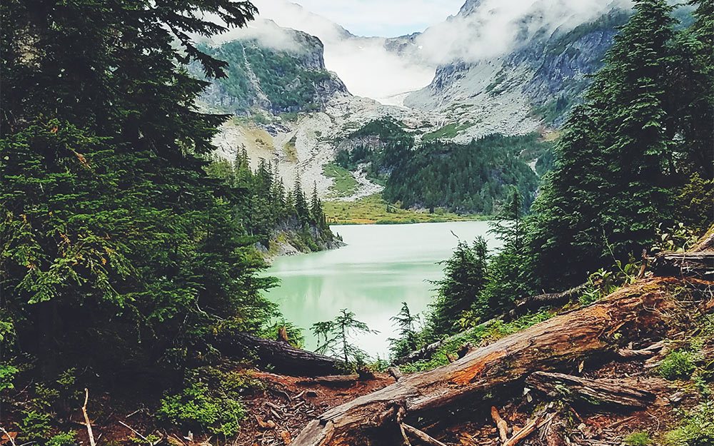 A serene mountain lake surrounded by dense evergreen trees