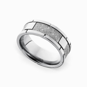 Cobalt Chrome Mens Ring With Meteorite Inlay - Space Walk