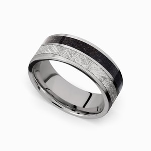 Titanium Dinosaur Bone Meteorite Ring