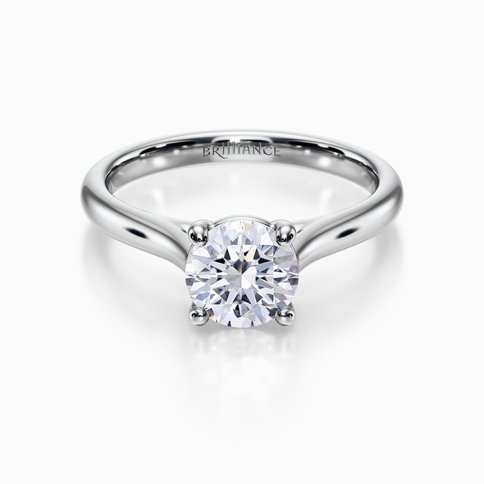 Elevated Cathedral Engagement Ring in White Gold