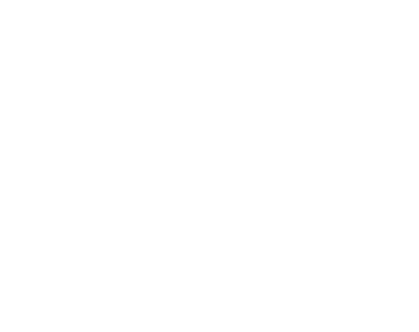 Permanent Color icon