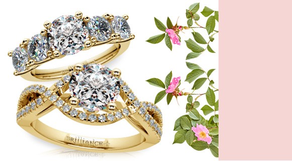 The More Sparkle, The Better!