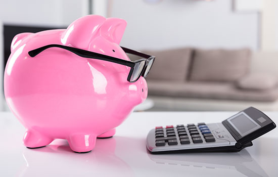 The Budget Bottom Line