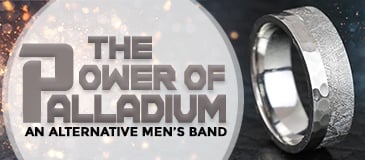 The Power of Palladium - An Alternative Men's Band