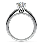 Channel Cathedral Diamond Engagement Ring in Platinum (1/2 ctw) | Thumbnail 02